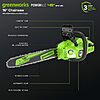 Greenworks 48V 16" Electric Chainsaw w/ 2x 4.0Ah Batteries & Charger (CS4816C) $199.99 + Free Shipping