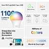 $18.99 | 2-Pack Tapo 1100 Lumens A19 E26 Matter RGBW Smart Dimmable Light Bulb (L535E) + 25% Back w/ Prime Visa Card at Amazon