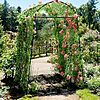 [AC] $45.59* | 87" AGTEK Garden Arch Trellis for Climbing Plants at Amazon