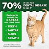 [SnS] $5.59 | 9.75-Oz Greenies Feline Natural Crunchy Dental Cat Treats (Salmon) at Amazon
