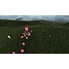 Flower (PC Game) $0.69