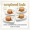 Fancy Feast Kitten Pate 24 pack (4 cases)