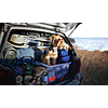 National Car Rental Up to 20% Off Base Rate Weekend Rental in US & Puerto Rico - Pick Up By December 28, 2026