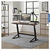 Teagan 60” Adjustable Height Desk $299.99 free shipping Costco.com