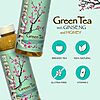 Arizona Green Tea with Ginseng and Honey - 16 Fl Oz (12 Pack) $6.29