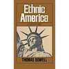 Ethnic America: A History $1.98