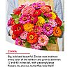 $4.64: Burpee Fast Blooming Wildflower Seed Mix, 25,000 Non-GMO Seeds, 14 Flower Varieties at Amazon