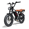 Kingbull Ranger | Vintage Off-Road Electric Bike $799