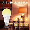 4-Pack A19 LED Light Bulbs 100W Equivalent (2700K Soft White) $4.99 + Free Shipping w/ Prime or on $35+