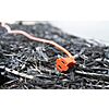 Southwire Woods 50ft Outdoor Extension Cord – Bright Orange 16/2 Two-Prong $11.36