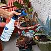 Begins 7/31, Harbor Freight, NIAGARA 32 oz. Professional Spray Bottles, 2-Pack for $3.49