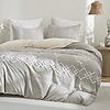 Oli Anderson Boho Queen Duvet Cover Set, Light Gray & Ivory, 3 Pieces $21.59