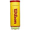 Wilson Championship Extra Duty Tennis Balls (3-Count) $2.87 + Free Shipping w/ Prime or on $35+